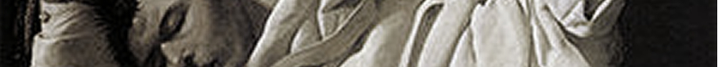 detalle del cuadro de zurbarán de san serapio